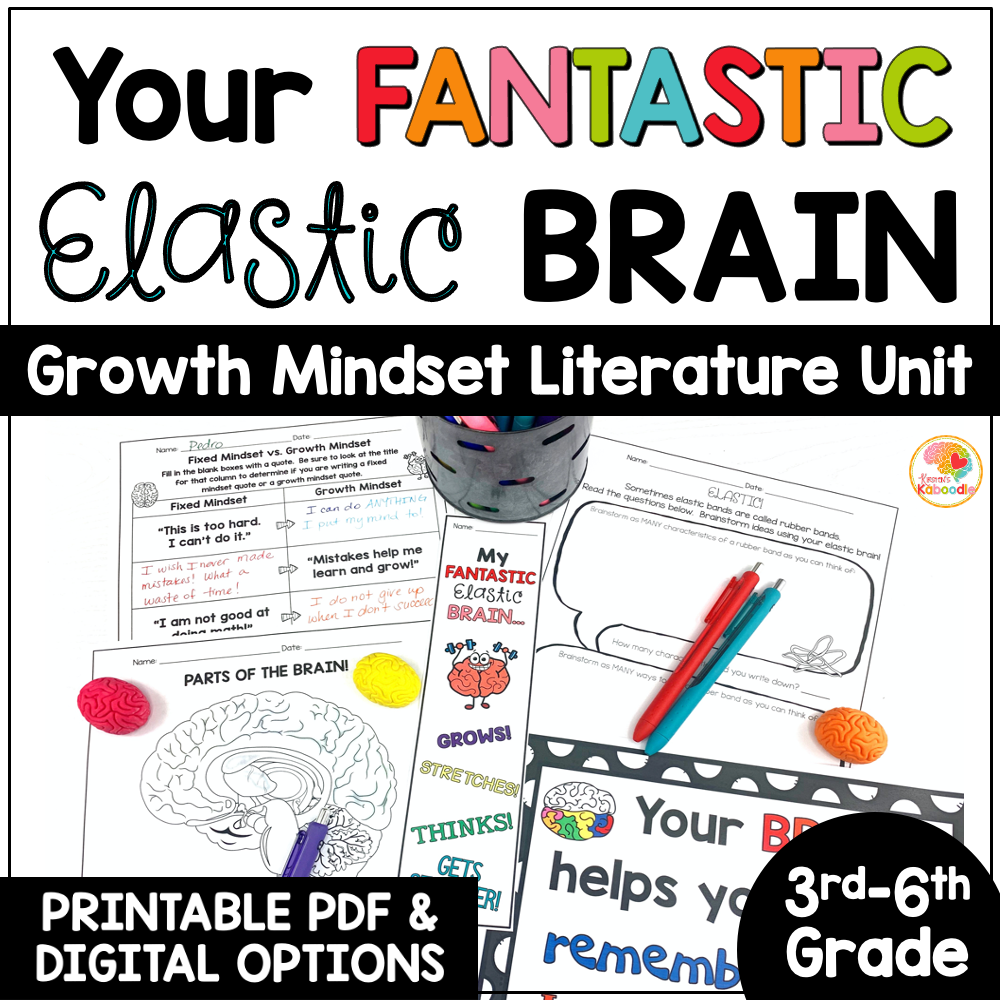 your-fantastic-elastic-brain-activities