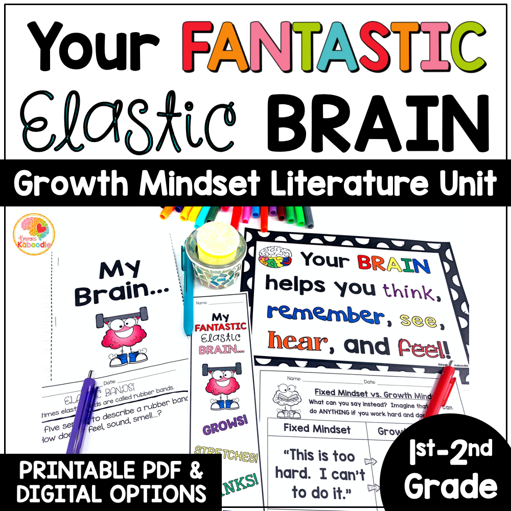 your-fantastic-elastic-brain-book-activities